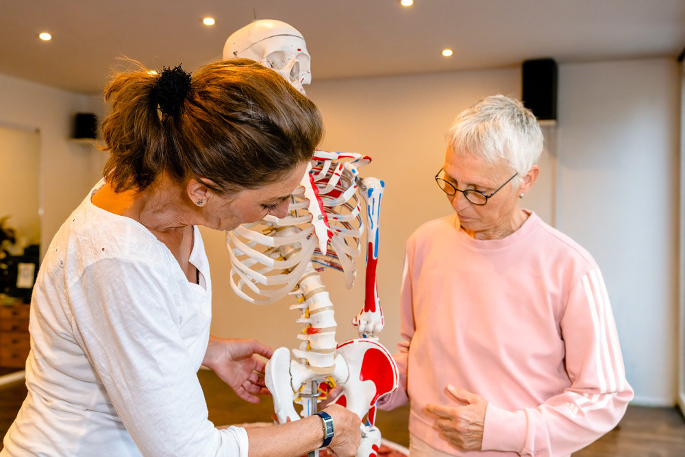 Anatomie verstehen