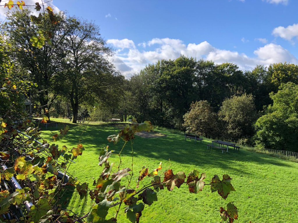 PHOTO-2024-09-30-06-47-14